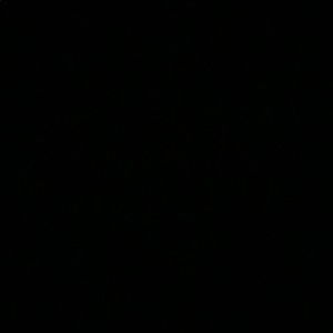 Meet your Posher, Patty